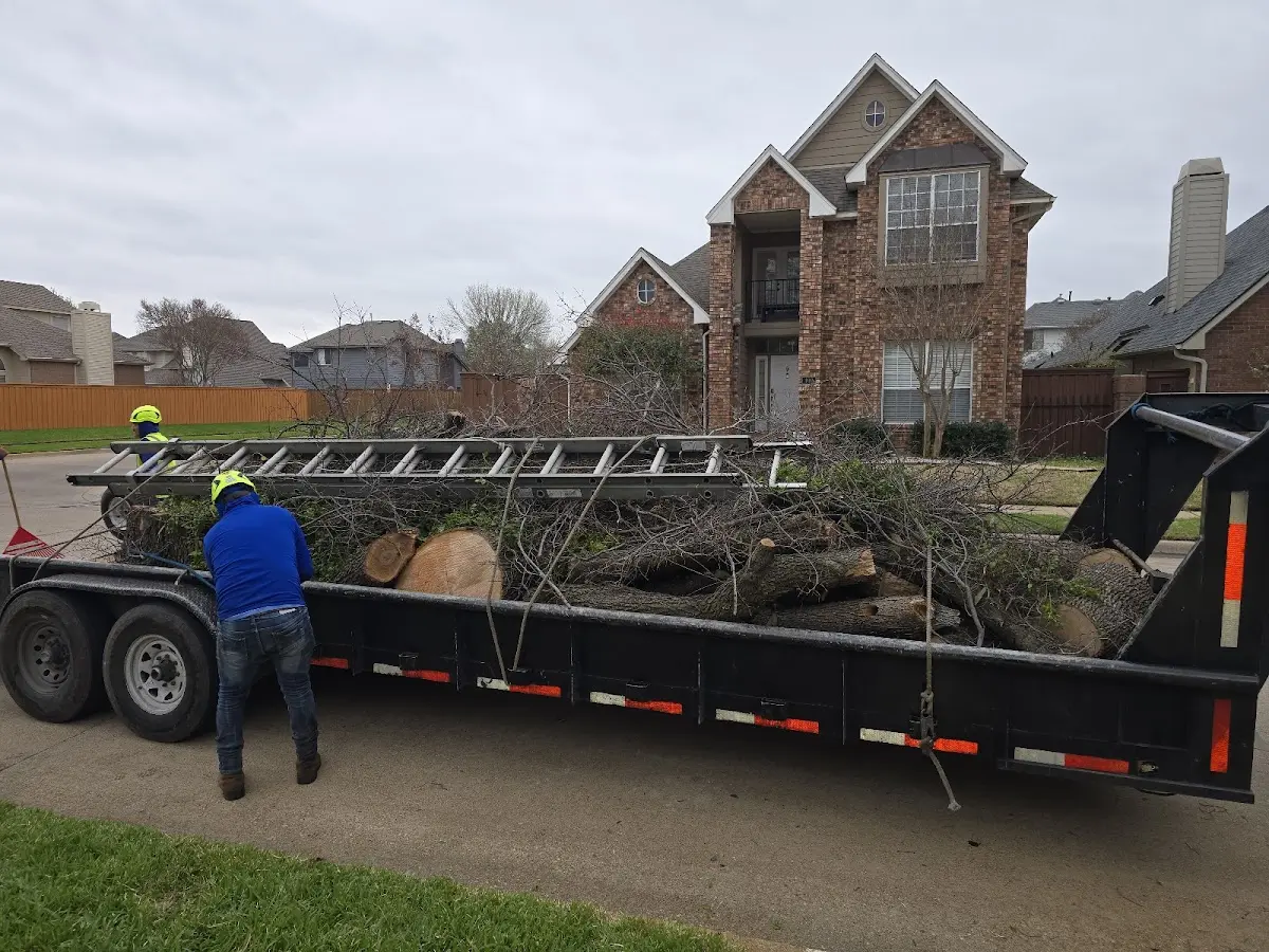 Expert Tree Pest Control with proper safety equipment in Marathon